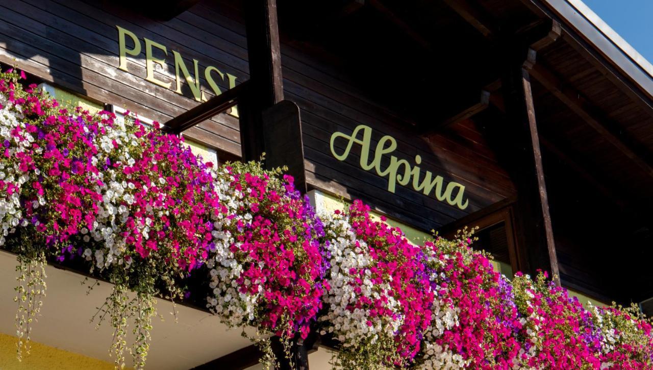Café Alpina 2* Innsbruck
